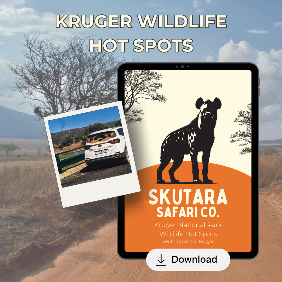 Kruger Wildlife Hot Spots (South vs Central Kruger)