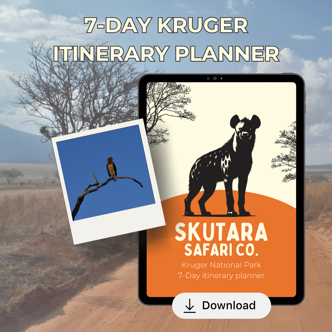 Kruger 7-Day Itinerary Planner