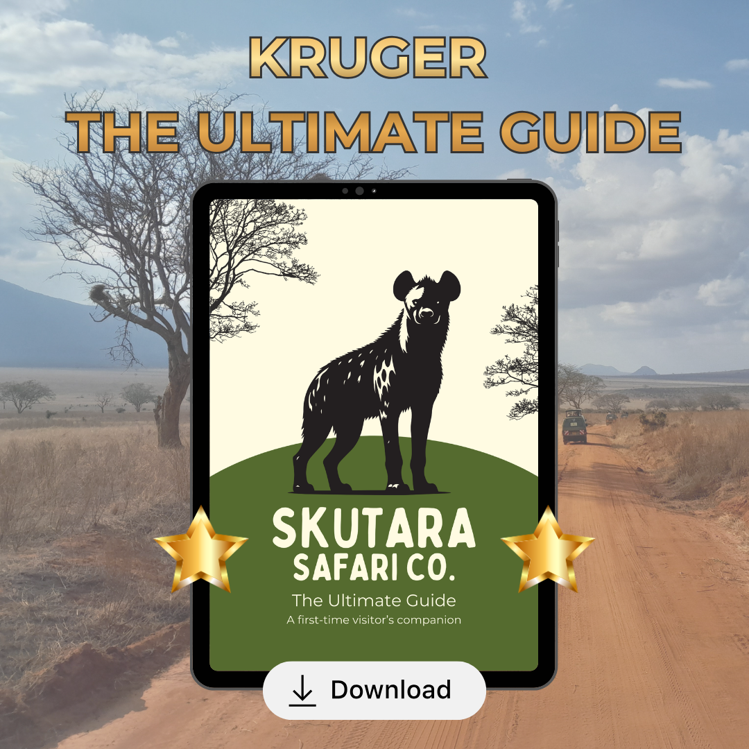 The Ultimate Kruger National Park Guide